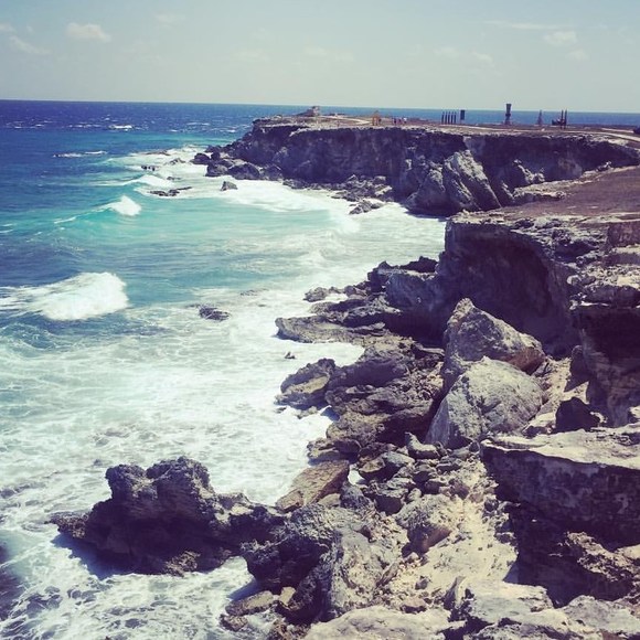 Meet your Posher, Andrew - Picture 1 of 1